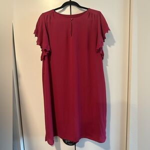 Ann Taylor Loft Medium Elegant Dress with Lace Sleeves